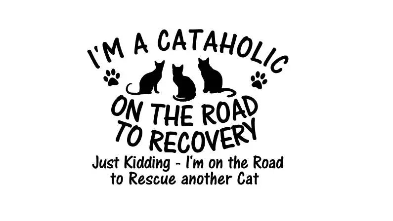 I'm A Cataholic On The Road To Recovery