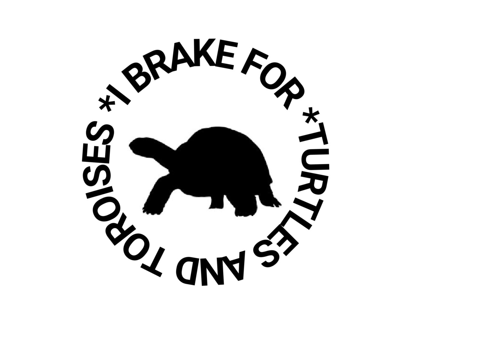 I Brake For Turtles and Tortoises