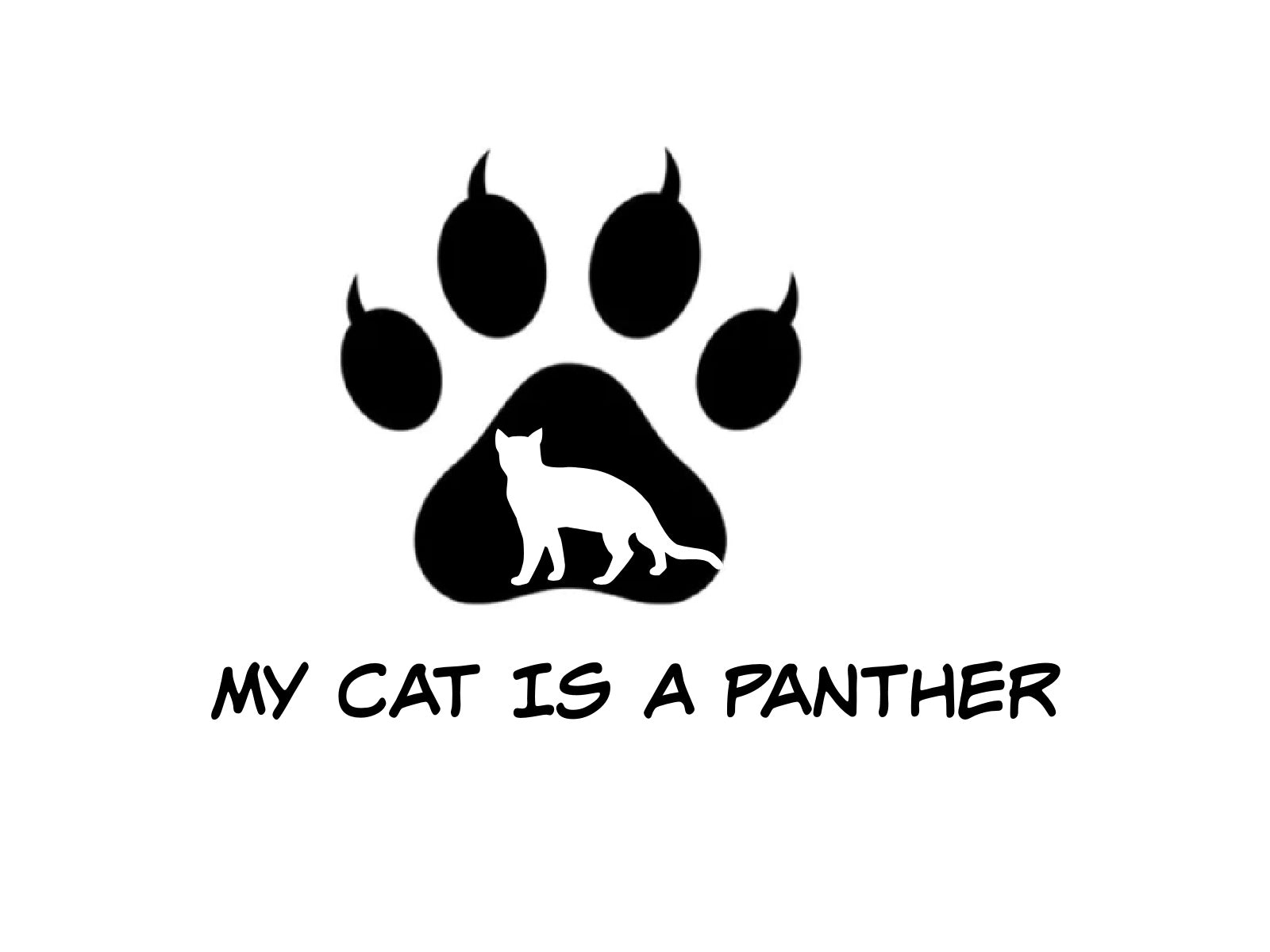 My Cat Is A Panther