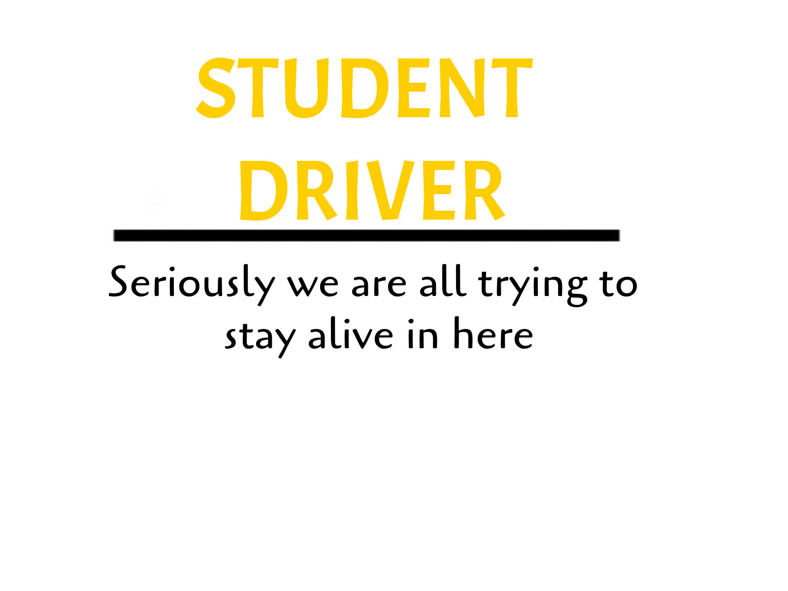 Student Driver- Trying to Stay Alive